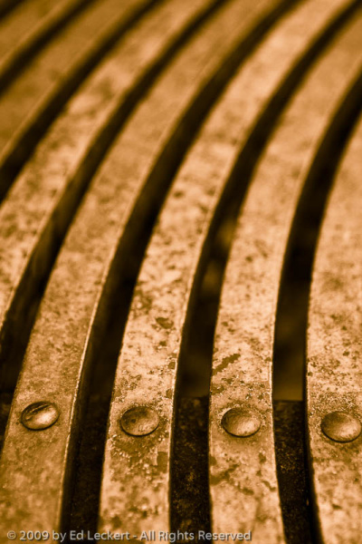Close-up of Park Bench, Seattle, Washington