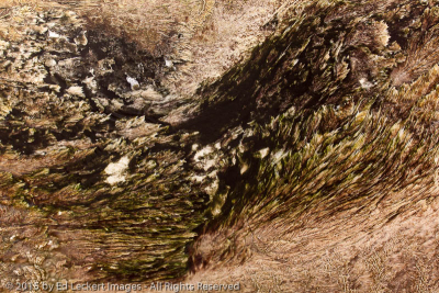 Hot Springs Abstract II, Yellowstone National Park, Wyoming