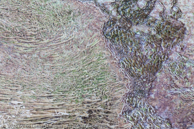 Hot Springs Abstract, Yellowstone National Park, Wyoming