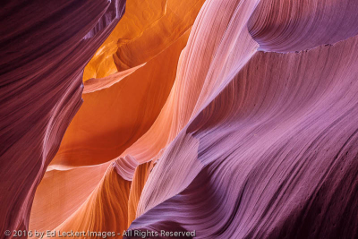 Looking Up, Lower Antelope Canyon, Page, Arizona