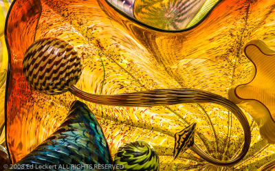 Seaforms #1, Bridge of Glass, Tacoma, Washington