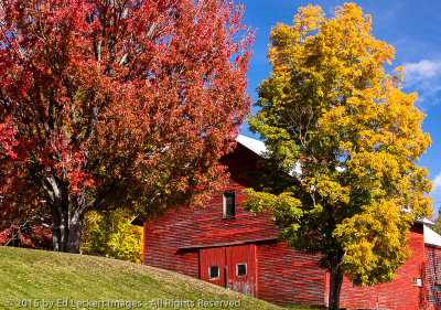 New Hampshire Barn, Errol, New Hampshire