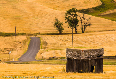 Old Shed on the Side of the Road, The Palouse, Washington