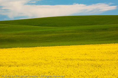 Palouse Layers, The Palouse, Washington