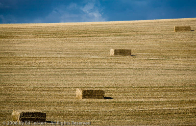 Palouse Steppes, The Palouse, Washington