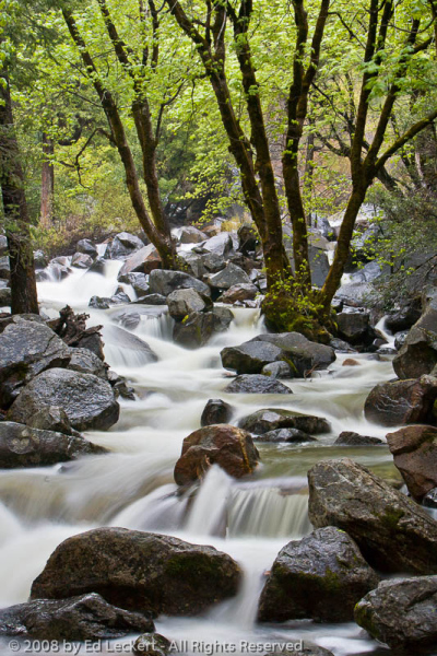 Bridalveil Creek at Dusk, Yosemite National Park, California