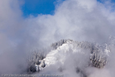Clearing Storm, Mt. Baker-Snoqualmie National Forest, Washington