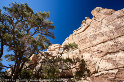 Desert Wall, Joshua Tree National Park, California