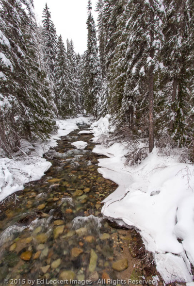 Early Winters Creek, near Mazama, Washington