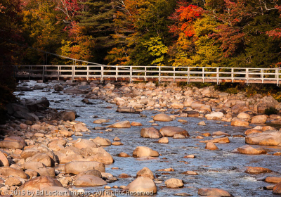 Fall Color On The Kanc, Lincoln, New Hampshire