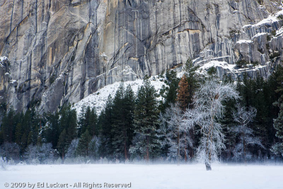 Fog on Snowfield, Yosemite National Park, California