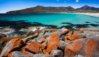 Lichen This Beach, Freycinet National Park, Tasmania, Australia