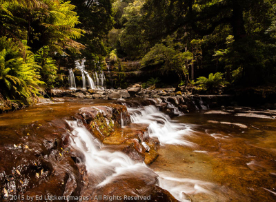 Liffey Falls, Liffey Falls State Reserve, Tasmania, Australia
