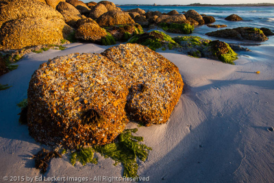 Low Tide at the Beach, Mount William National Park, Tasmania, Australia