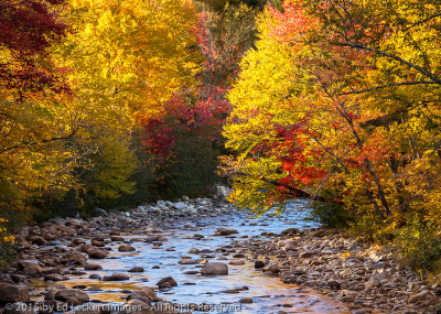 Maine Stream, Byron, Maine