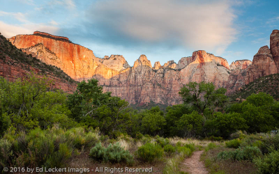 Morning Walk in Zion, Zion National Park, Utah