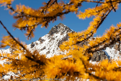 Mount Stuart and Larches, Alpine Lakes Wilderness, Washington