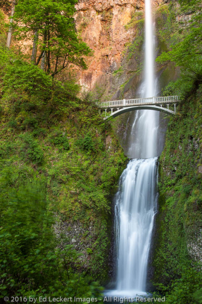 Multnomah Falls at Sunset, Historic Columbia River Highway, Oregon