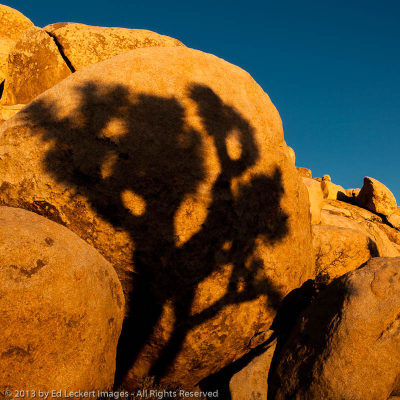 Rock Art, Joshua Tree National Park, California