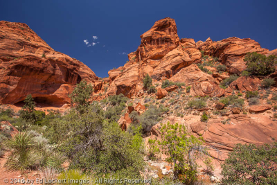 Sandstone Cliffs, Red Cliffs National Conservation Area, Utah