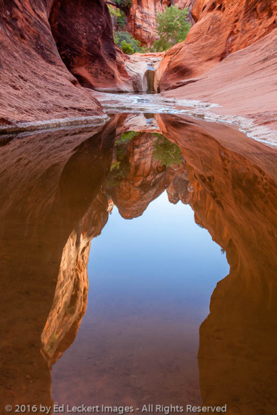 Sandstone Reflections, Red Cliffs National Conservation Area, Utah