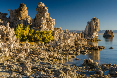 South Tufa at Dawn, Mono Lake Tufa State Reserve, California