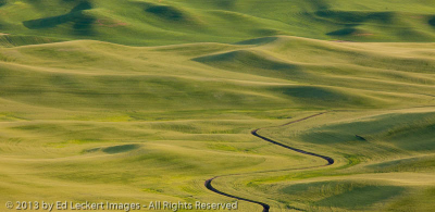 Stream and Farmland, The Palouse, Washington