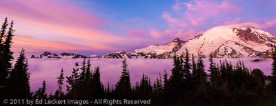Sunrise above the Clouds at Sunrise, Mount Rainier National Park, Washington