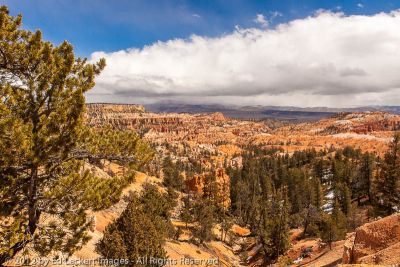 View from Sunrise Point, Bryce Canyon National Park, Utah