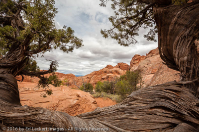 View from the Campground, Arches National Park, Utah