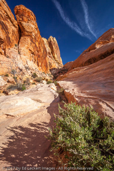 White Dome Trail, Valley of Fire State Park, Nevada