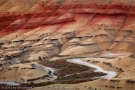 River of Color, John Day Fossil Beds National Monument, Oregon