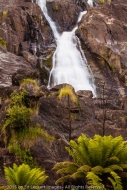 Saint Columba Falls, Saint Columba Falls State Preserve, Tasmania, Australia