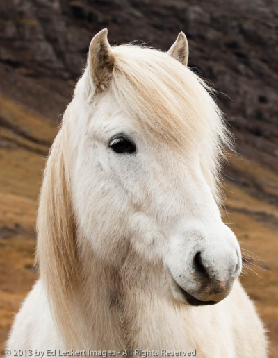 Do You Think I'm Pretty?, West Iceland