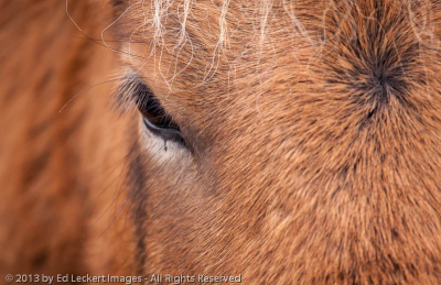 Eye of the Horse, Snaefellsnes Peninsula, Iceland