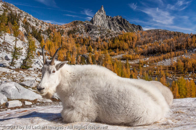 Goat and Prusik Peak, Alpine Lakes Wilderness, Washington