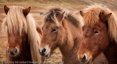 The Three Amigos, Snaefellsnes Peninsula, Iceland
