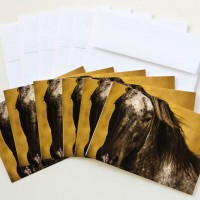 “Watchful” Note Cards