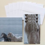 "Icelandic Horses in Snowstorm" Note Cards