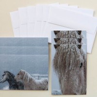 “Icelandic Horses in Snowstorm” Note Cards