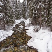 North Cascades Scenic Highway in the Winter