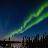 Aurora Over Prelude Lake, Northwest Territories, Canada