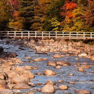 Fall Color On The Kanc, Lincoln, New Hampshire