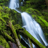 Mineral Creek Falls, Olympic National Park, Washington