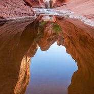 Sandstone Reflections, Red Cliffs National Conservation Area, Utah