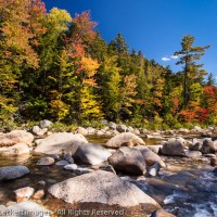 Swift River Color, White Mountain National Forest, New Hampshire