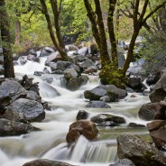 Bridalveil Creek at Dusk, Yosemite National Park, California