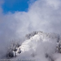Clearing Storm,  Mt. Baker-Snoqualmie National Forest, Washington