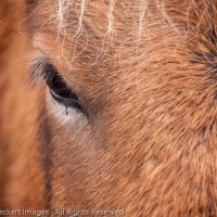Eye of the Horse, Snaefellsnes Peninsula, Iceland
