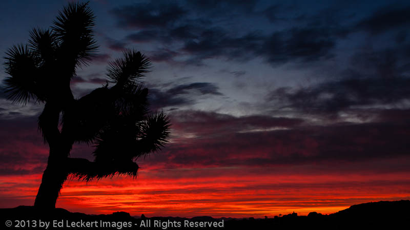 Sunrise at Jumbo Rocks, Joshua Tree National Park, California